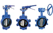 Blue Butterfly Valve